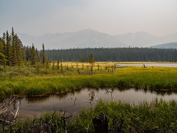 Despite the smoke and the exhaustion, there's moments of tranquility along the trail.