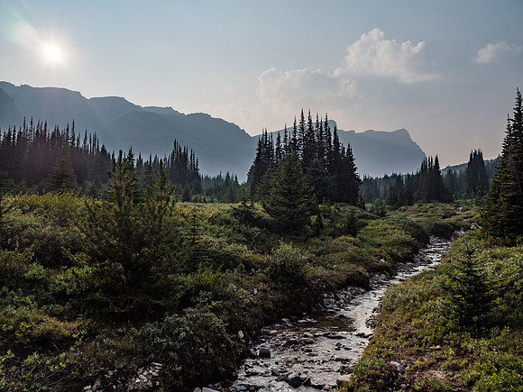 Delightful alpine meadows.