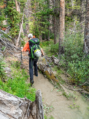 A section of trail is a running stream thanks to a very high Red Deer River.