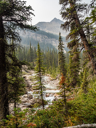 Despite the wild beauty around us, our minds and bodies were getting overloaded as we continued our thrash back to the trail.