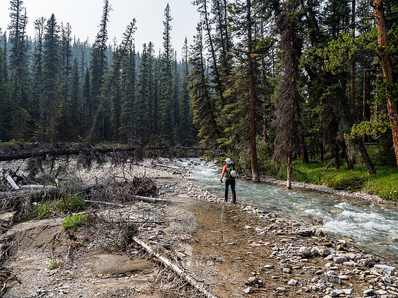 True Banff wilderness as we start up the outflow stream into the McConnell Valley.