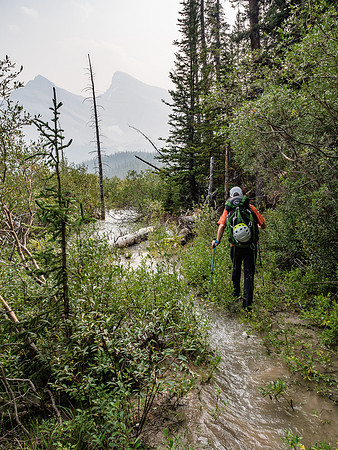 A very flooded out trail.