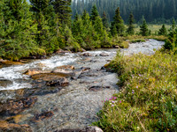 This was the point we crossed the Skoki Lakes outflow stream to catch the Deception Pass Trail before it merged with the Skoki Pass Trail to the Red Deer Lakes area.