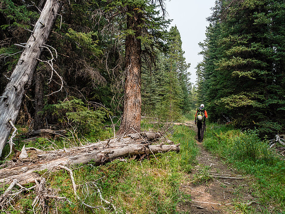 Mile upon mile of on trail hiking.
