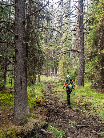 Finally back on the Red Deer River Trail and plodding back to civilization.