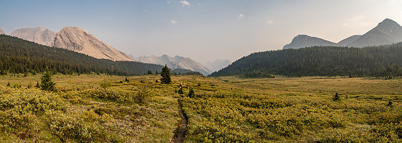 Staring down the Baker Creek drainage and the Back Creek Trail with Tilted and Lychnis at left and Brachiopod and Anthozoan at right.