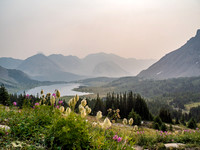 Late summer flowers as I glance back over Baker Lake to Tilted Mountain with Lychnis rising over it.