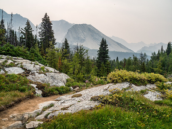As we gain height from the Baker Creek to Baker Lake trail, Tilted becomes less and less of a defined peak.