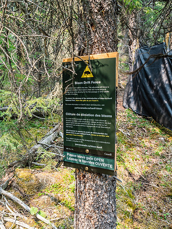 When you come across Bison fencing in Banff National Park, you know you're officially off the grid and deep in the backcountry!