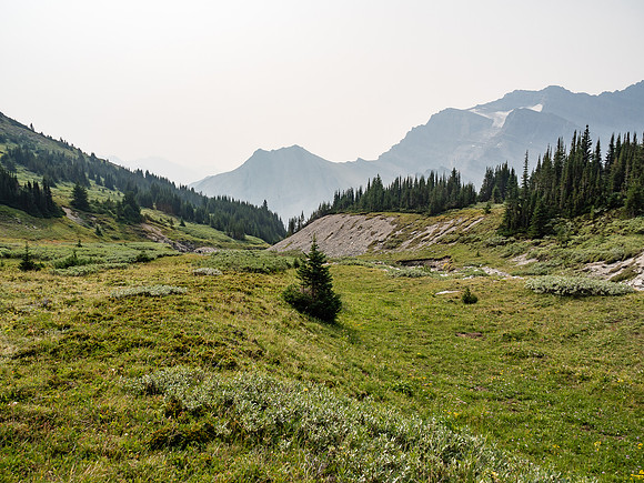 McConnell Alpine Meadows.