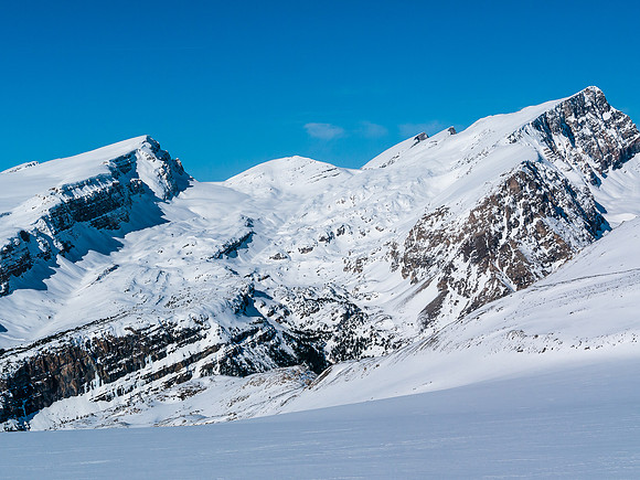 Vulture and Crowfoot.