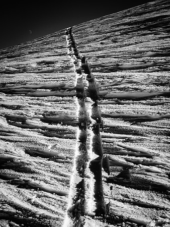 Bens tracks up Lilliput.