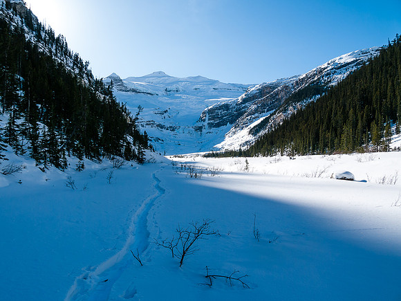 Skiing down Balfour Creek to Hector Lake.