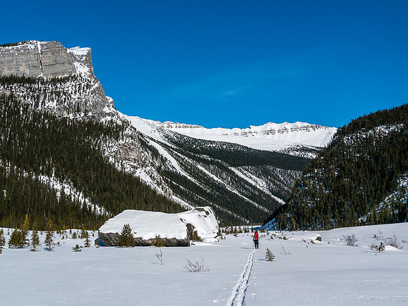 Skiing down Balfour Creek to Hector Lake.