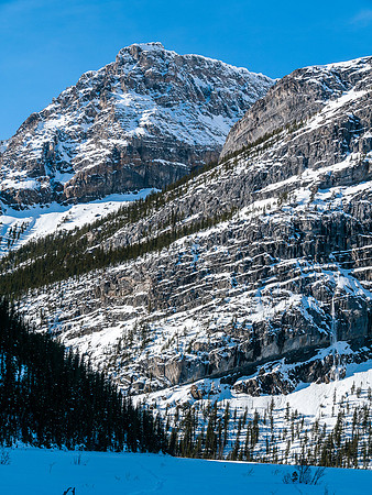 Skiing across Hector Lake.