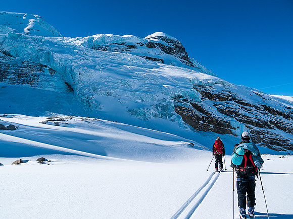 Skiing the Waputik Glacier.