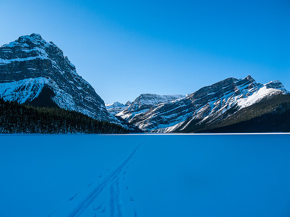 Skiing across Hector Lake, looking back at Balfour Creek.