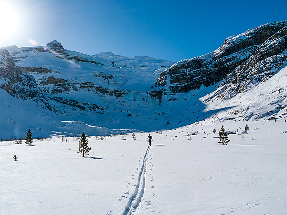 Skiing down Balfour Creek to Hector Lake.