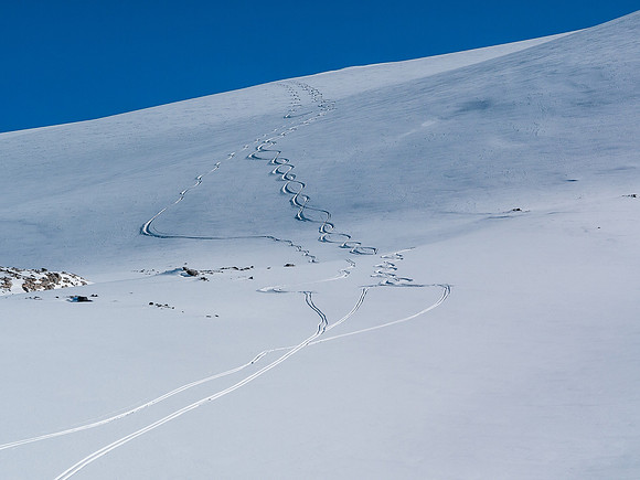Skiing the Waputik Glacier.