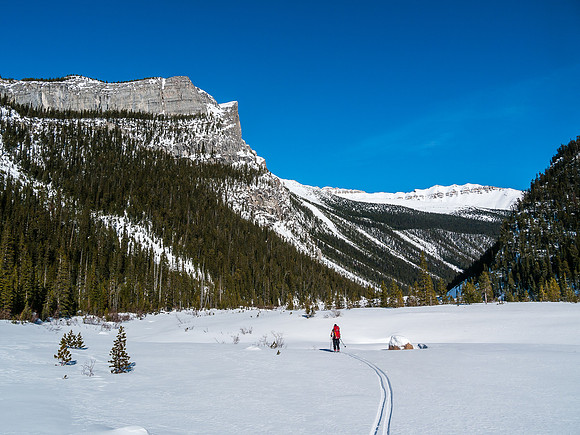 Skiing down Balfour Creek to Hector Lake.