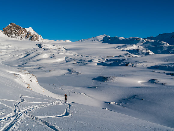 Looking back from the lower slopes to the Balfour Col.