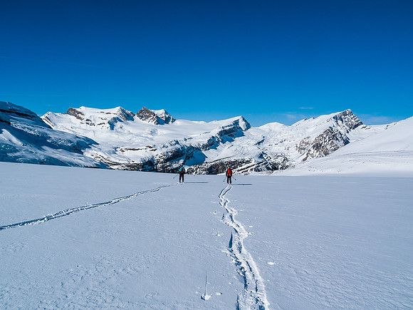 Skiing the Waputik Glacier.