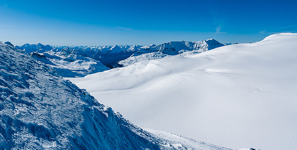 Looking west over the Waputik Icefield towards The Presidents.