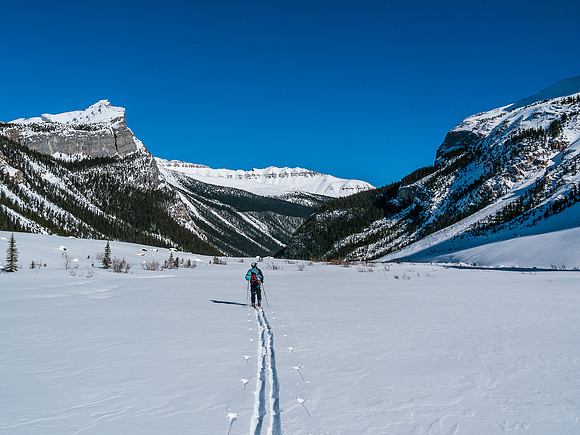 Skiing down Balfour Creek to Hector Lake.