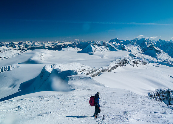 Towering over other Yoho summits now, looking towards Lake Louise over the Daly / Niles col with Temple, Lefroy and Victoria clearly visible.