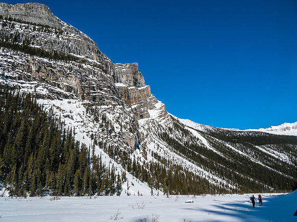 Skiing down Balfour Creek to Hector Lake.
