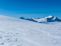 A large group on the lower slopes of Mount Gordon with Des Poilus and Collie in the distant bg.