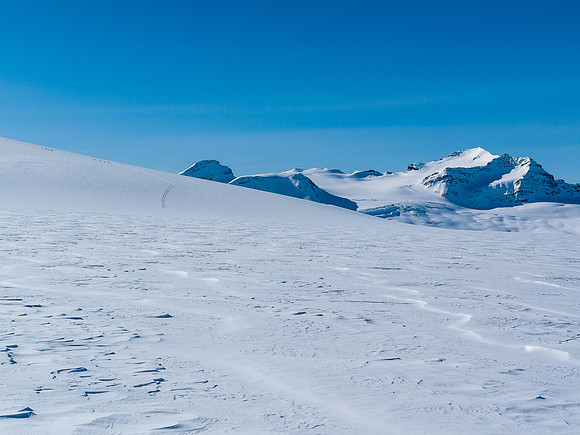 A large group on the lower slopes of Mount Gordon with Des Poilus and Collie in the distant bg.