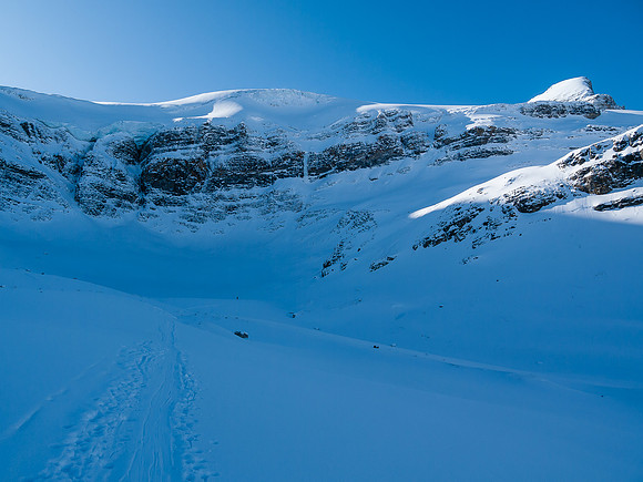 The classic shot of a skier approaching the final slopes to the Bow Hut which is somewhere at center-right in the sunshine.