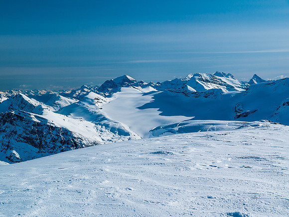 The Waputik Glacier.