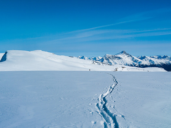 It's an easy traverse from the St. Nich / Olive col to the summit of Vulture Peak.