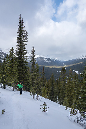 Some views up the Spray Lakes road.