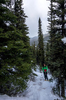 The trail is bushy but not horrible.