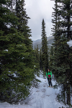 The trail is bushy but not horrible.