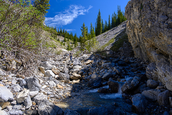 Hiking up a small creek towards Psychic Peak.