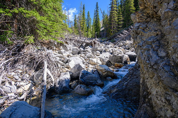 Hiking up a small creek towards Psychic Peak.