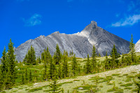 A striking northern outlier of Mount Oliver.