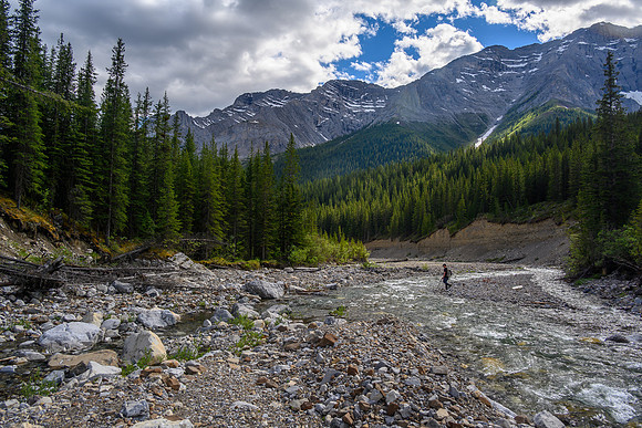 Hiking the Dormer River / Pass Trail which gets indistinct when crossing Stony Creek.