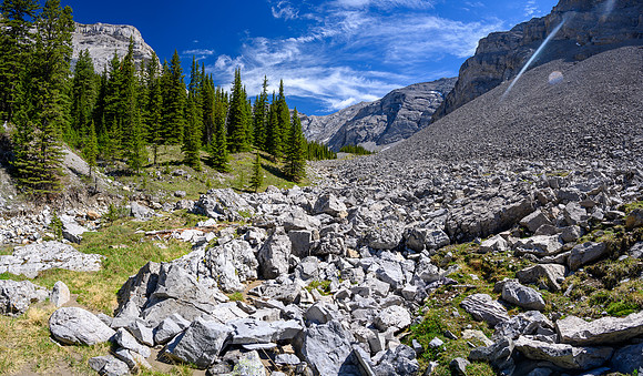 Lovely alpine meadows in the valley south of Psychic Peak.