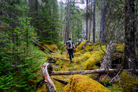 Hiking up Haunted Creek.