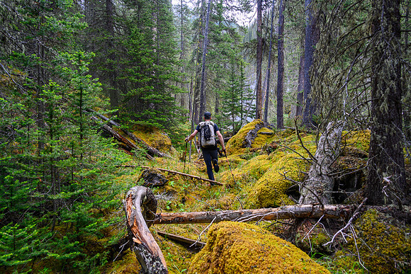 Hiking up Haunted Creek.