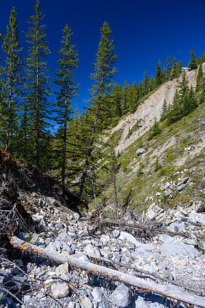 Hiking up a small creek towards Psychic Peak.