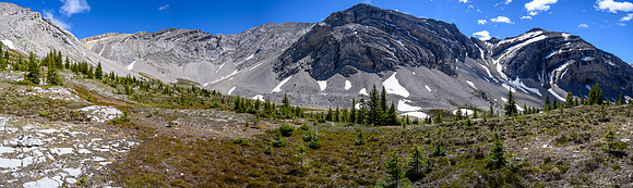 Lovely alpine meadows in the valley south of Psychic Peak.