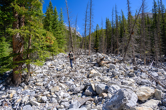 Hiking up a small creek towards Psychic Peak.