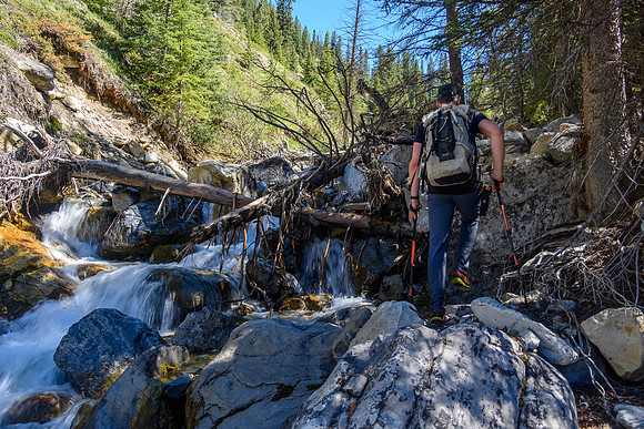 Hiking up a small creek towards Psychic Peak.