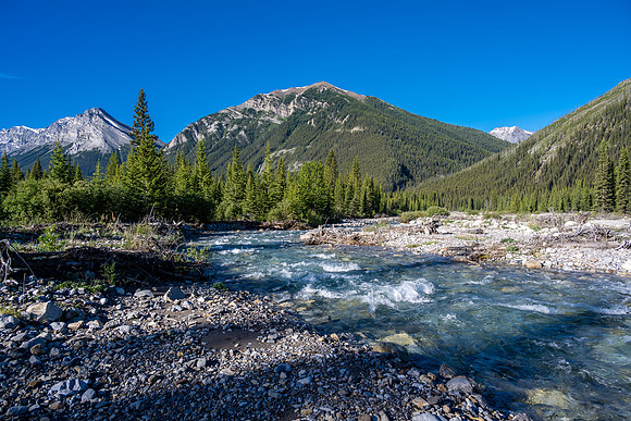 A feisty Stony Creek with Elaphus Peak in the bg.